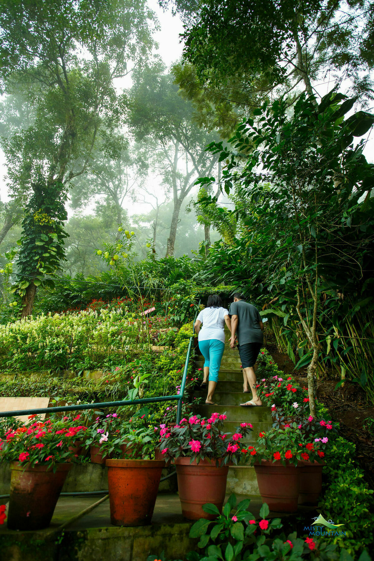 Misty Mountain Resort Munnar Exterior foto